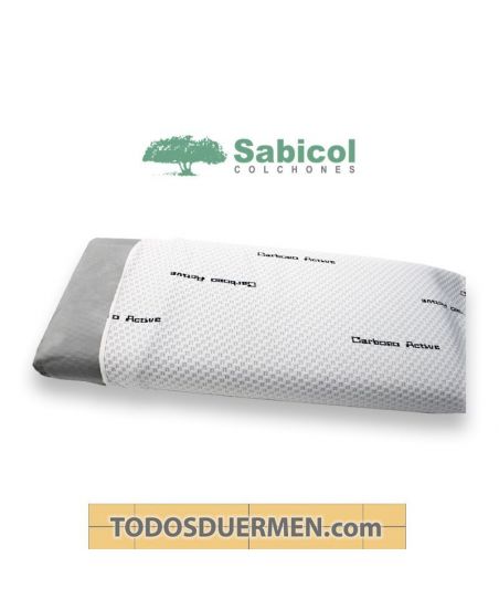 Almohada Viscoelástica Carbono Ecológica Sabicol TodosDuermen.com