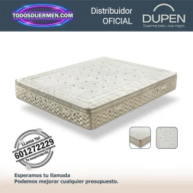 Colchones de muelles ensacados Palazzo Dupen 31 cm con almohada Carbono de regalo