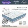 Colchones de Muelles Ensacados Polar Tech Dupen 31 cm con Almohada Monic dupen de regalo