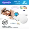 Almohada ViscoFresh de Moraplex con tecnología transpirable y diseño ergonómico para un descanso fresco y confortable.