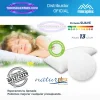 Almohada ViscoSoja de Moraplex hecha con materiales ecológicos, soporte ergonómico y frescura natural para un descanso saludable.