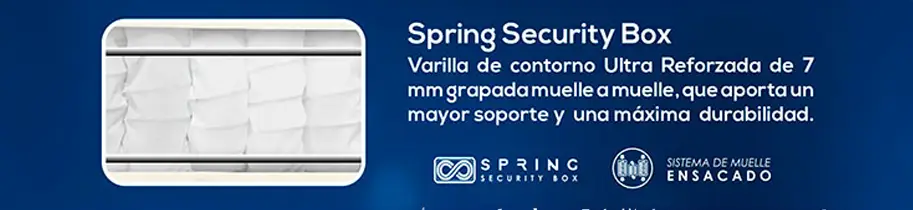 Spring Security Box protecciòn contra deformaciones