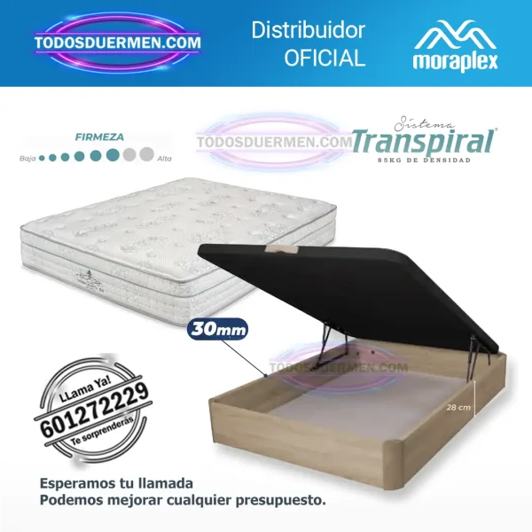 Pack Thermoadapta S6 + Canapé Forte con muelles ensacados y firmeza progresiva.