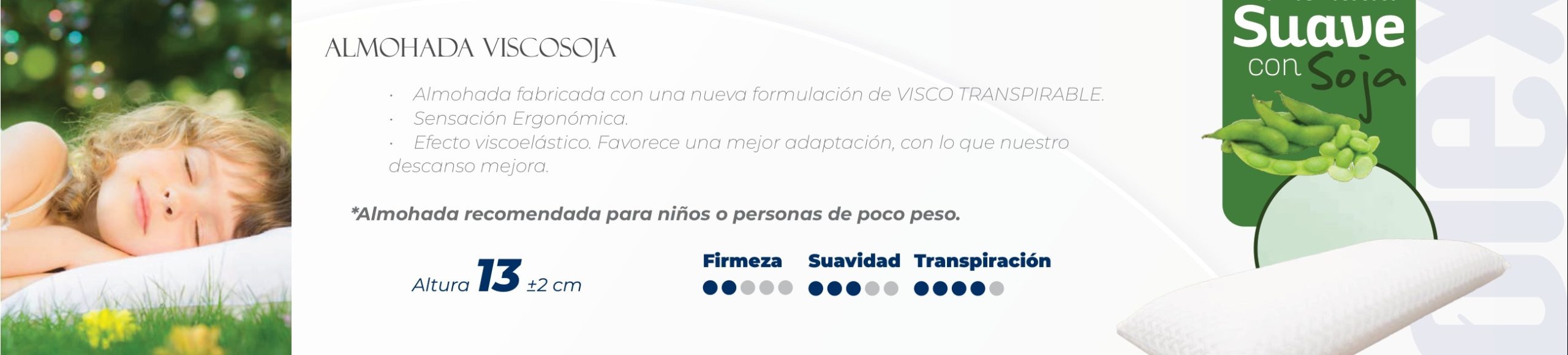 Ficha del catálogo de Moraplex: Almohada Visco Soja Moraplex